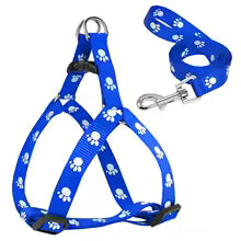 harnais chien imprimé patte bleu