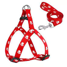 harnais chien imprimé patte rouge