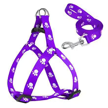harnais chien imprimé patte violet