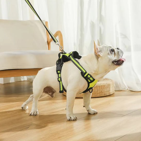 harnais chien réfléchissant anti-traction