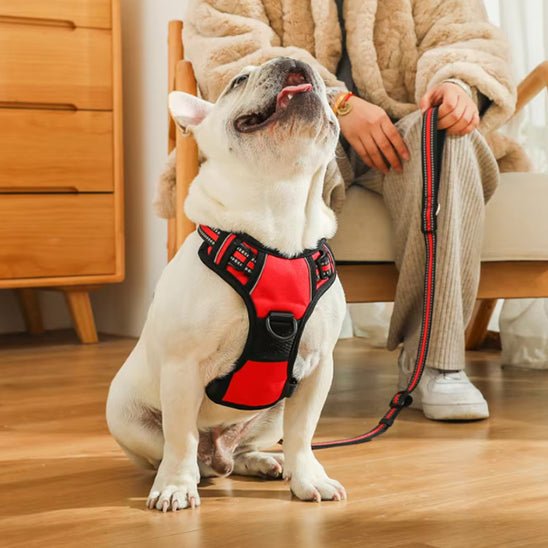 harnais chien réfléchissant-rouge