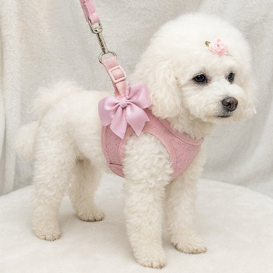 harnais petit chien diamanté rose chien profil