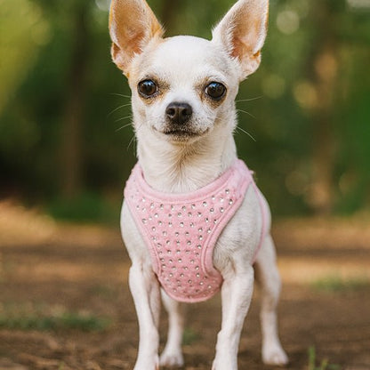 harnais petit chien diamanté rose frontal