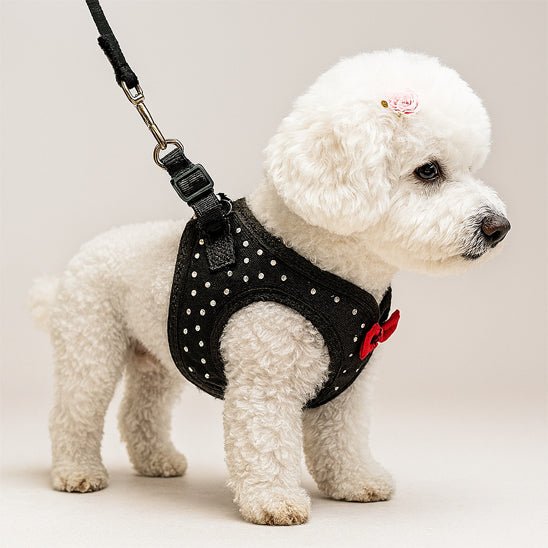 harnais petit chien diamant& smoking chien profil