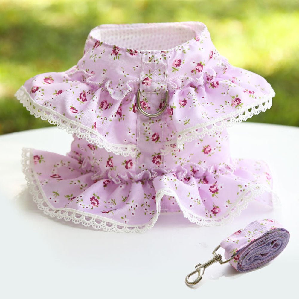 harnais petit chien fleuri-violet