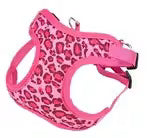 harnais petit chien léopard fuchsia-1