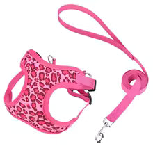 harnais petit chien léopard-fuchsia