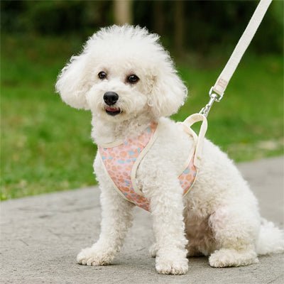harnais petit chien léopard rose sur chien blanc