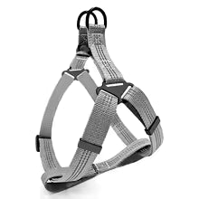 harnais pour chien Y argent