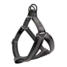harnais pour chien Y noir