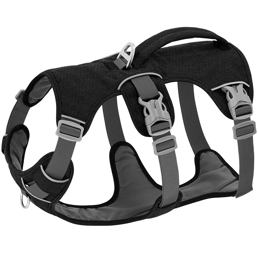 harnais pour chien anti-fuite noir