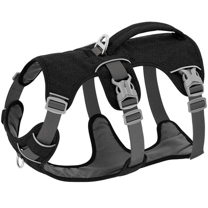harnais pour chien anti-fuite noir