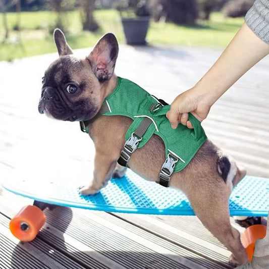 harnais pour chien anti-fuite sur chien avec skateboard
