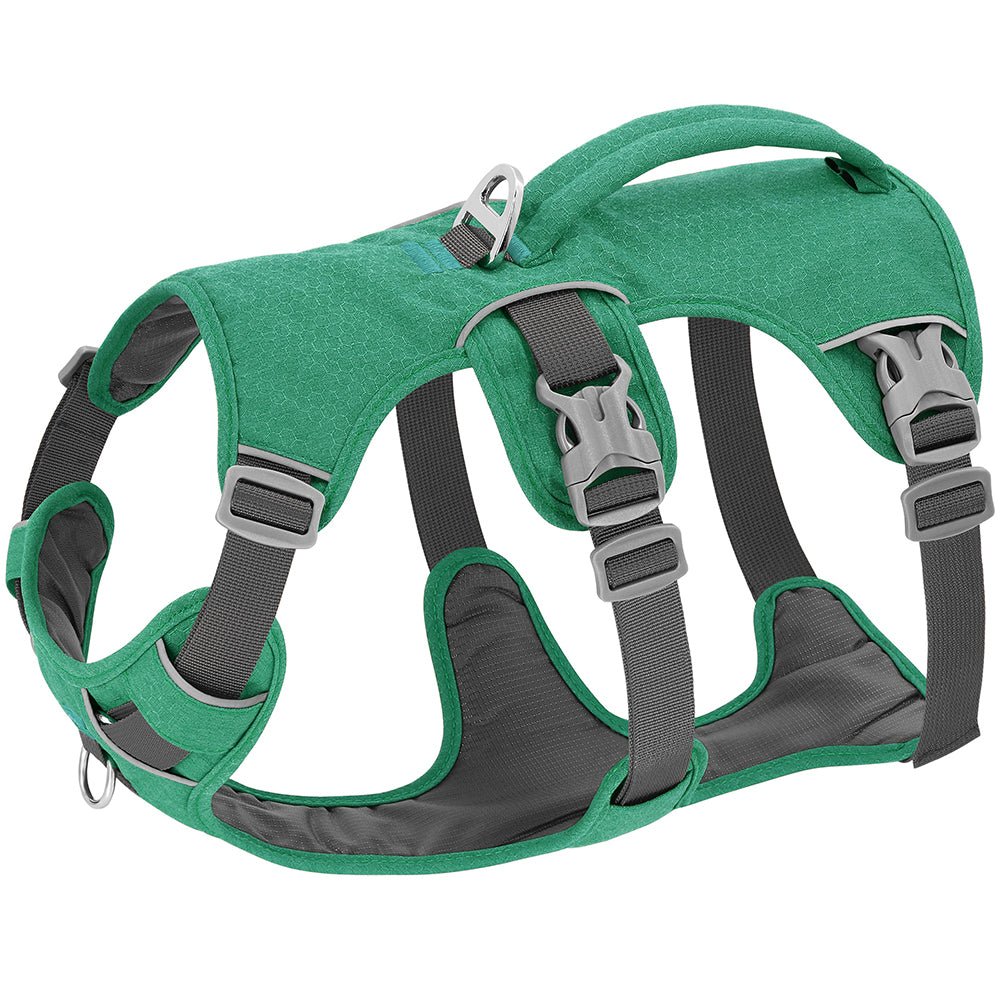 harnais pour chien anti-fuite vert