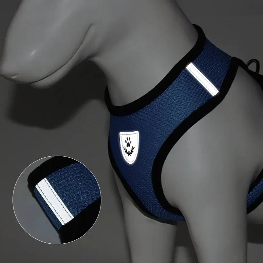 harnais pour chien DogHarnessLeadLeash  bleu