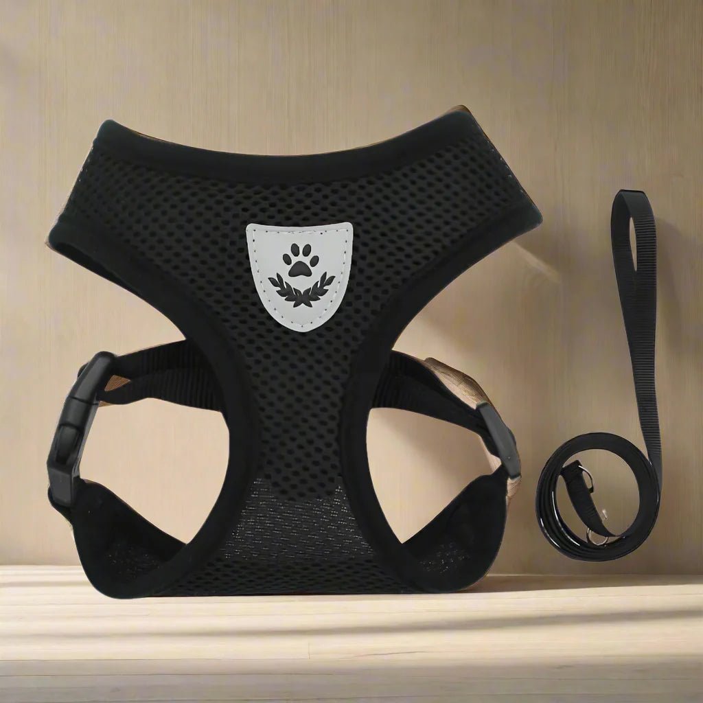 harnais pour chien DogHarnessLeadLeash noir-2