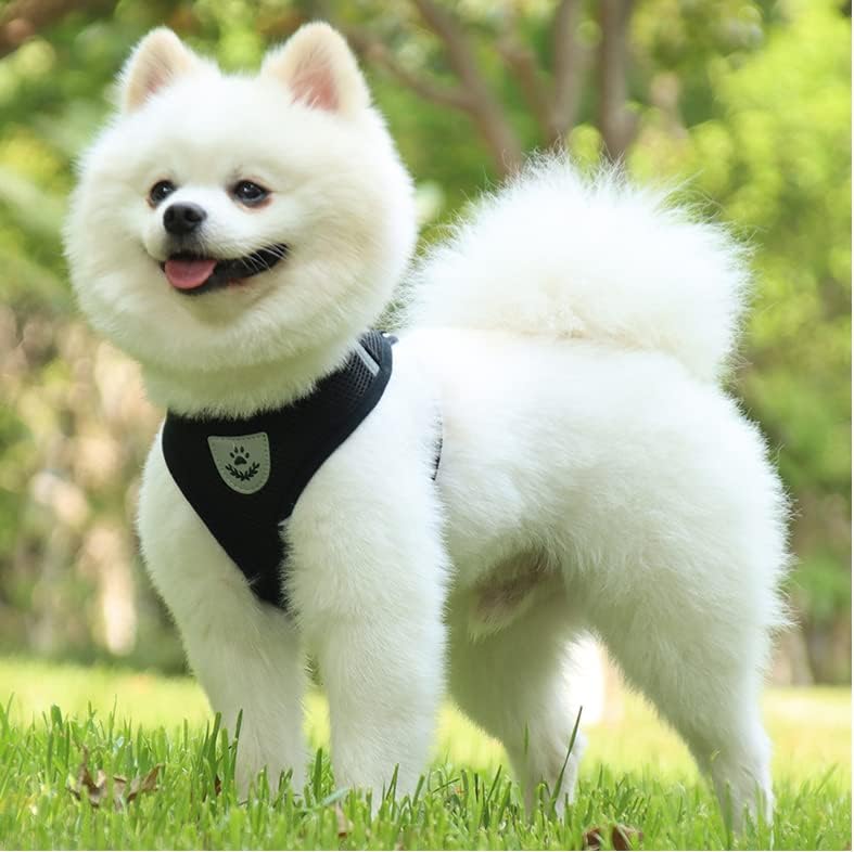 harnais pour chien DogHarnessLeadLeash noir