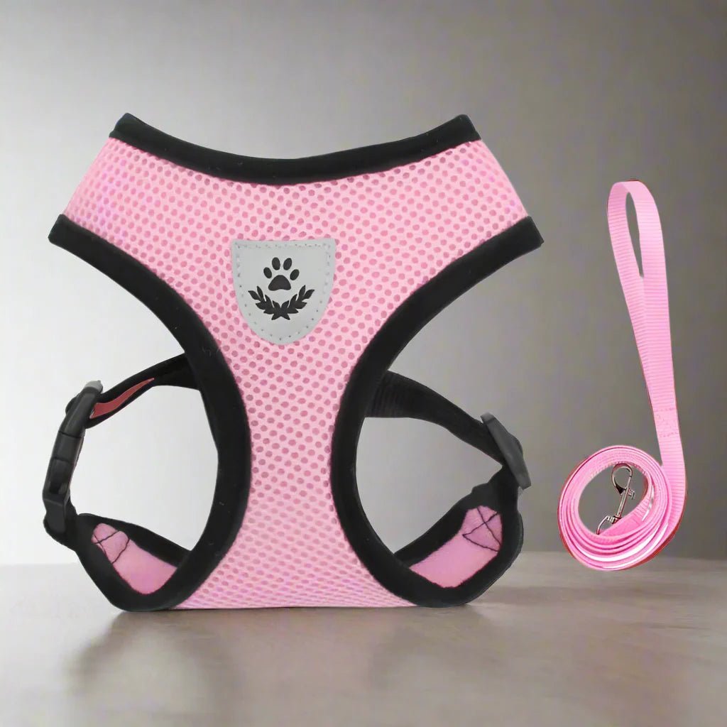 harnais pour chien DogHarnessLeadLeash rose-2
