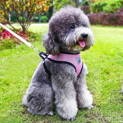 harnais pour chien DogHarnessLeadLeash-rose