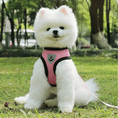 harnais pour chien DogHarnessLeadLeash rose
