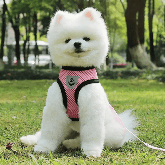 harnais pour chien DogHarnessLeadLeash rose