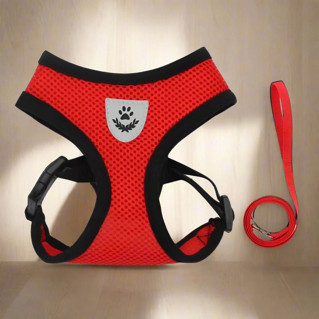 harnais pour chien DogHarnessLeadLeash rouge-2