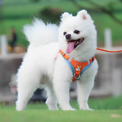 harnais pour chien DogJoy-orange