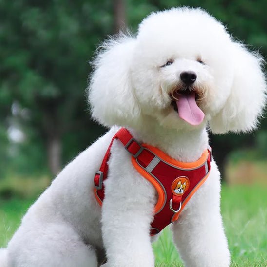 harnais pour chien DogJoy-rouge