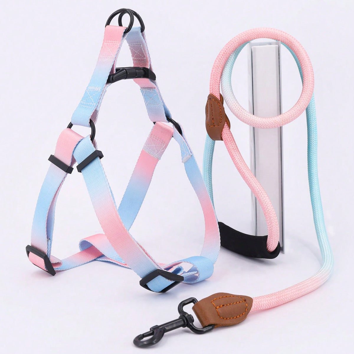 harnais pour chien en dégradée  bleu-rose