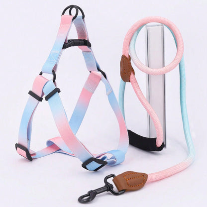harnais pour chien en dégradée  bleu-rose