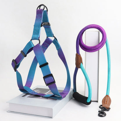 harnais pour chien en dégradée violet-bleu