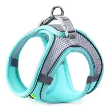 harnais pour petit chien confortable-vert