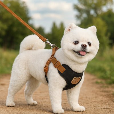 harnais pour petit chien cuttydog--noir