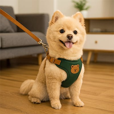 harnais pour petit chien cuttydog-vert