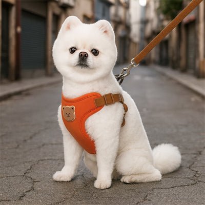 harnais pour petit chien cuttydog