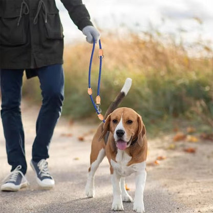 homme balade Beagle portant laisse double pour chien