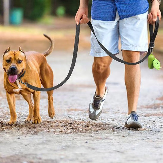 homme balade chien portant laisse pour chien ErgoPro 