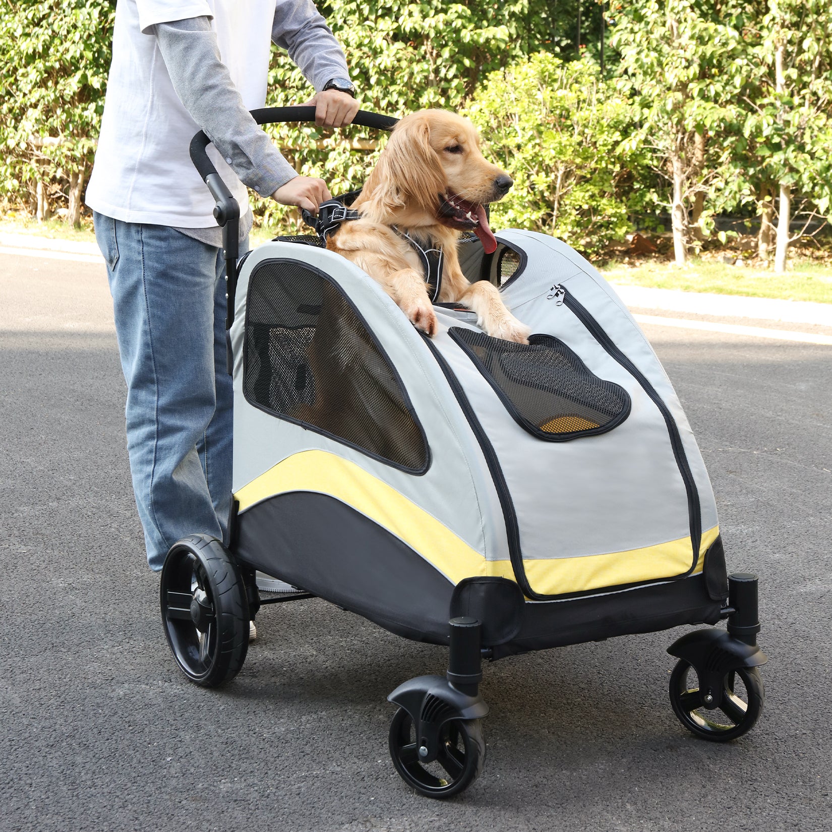 homme marche  avec  chien assis dans poussette à chien GreatPetStroller™

