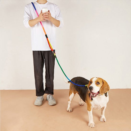 homme regarde gsm chien avec laisse chien main libre