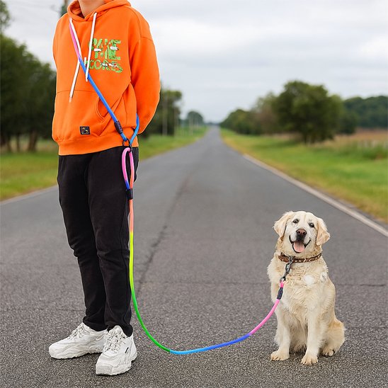 homme regarde payssage chien avec laisse chien main- ibre