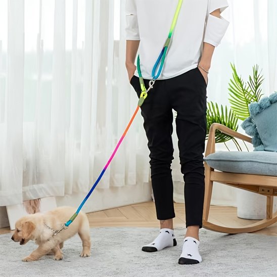homme rend visite chien avec laisse chien main libre
