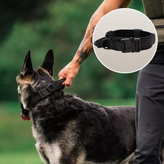 homme tient poignée collier pour chien tactique 1 détails