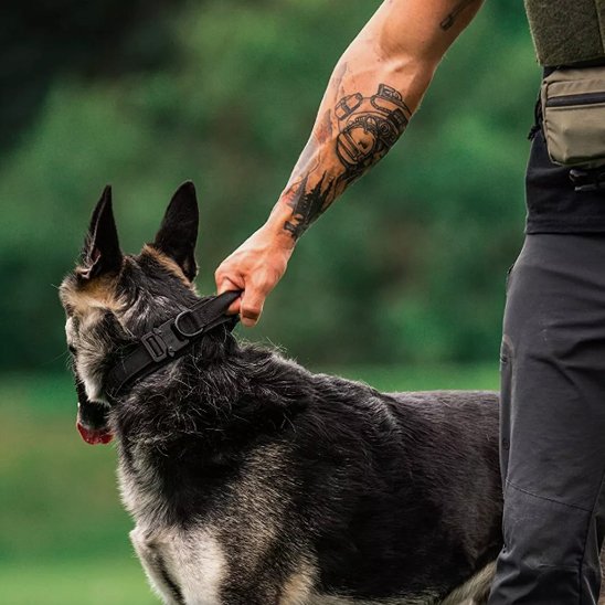 homme tient poignée collier pour chien tactique 1