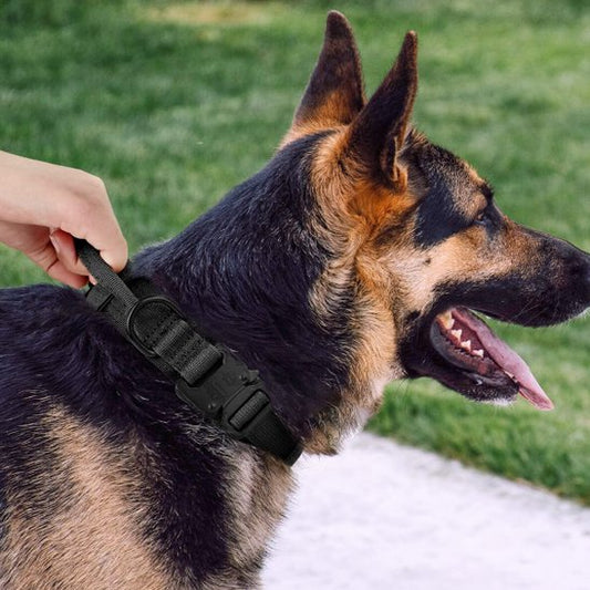 homme tient poignée collier pour chien tactique 2