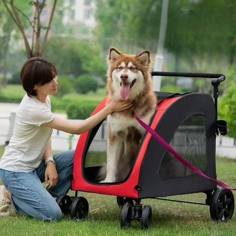 Husky dans poussette pour Chien - StrollyPet™ - Rouge 
