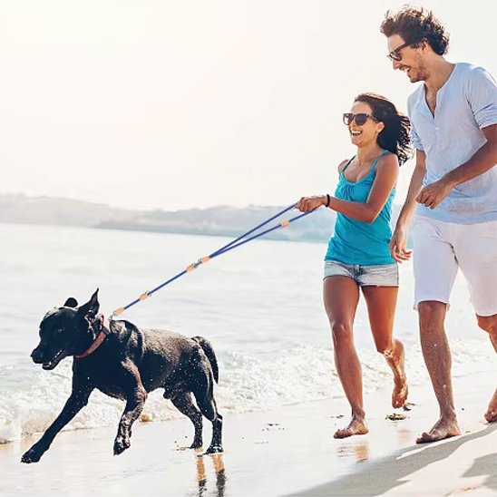jeunes balade litoral chien portant laisse double pour chien