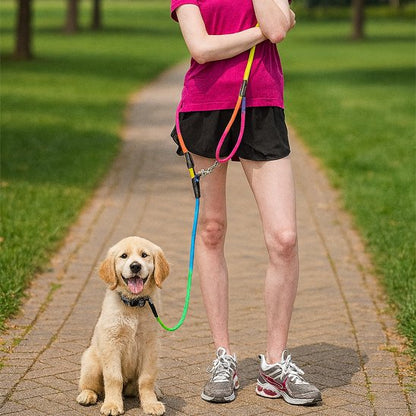 jogger pause chien avec laisse chien main libre