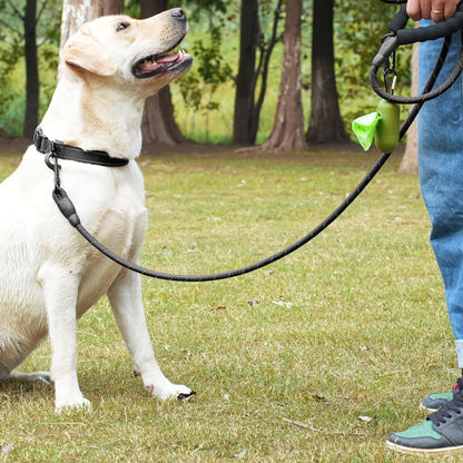 Labrador assis entrainement laisse pour chien solide