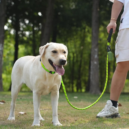 Labrador balade forêt laisse pour chien solide