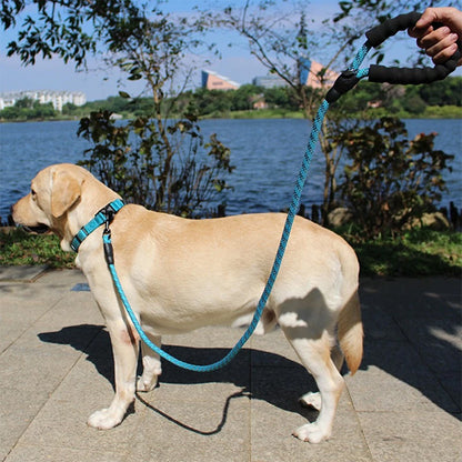 labrador bord de lac laisse pour chien solide